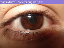 Posted image has been reduced in size. Size of original image (39995 KB) is 604 x 453 pixels. Click image to view full size and better quality!