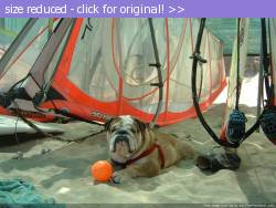 Posted image has been reduced in size. Size of original image (90064 KB) is 1024 x 768 pixels. Click image to view full size and better quality!