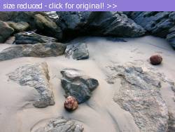 Posted image has been reduced in size. Size of original image (284686 KB) is 1024 x 766 pixels. Click image to view full size and better quality!