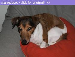 Posted image has been reduced in size. Size of original image (131502 KB) is 1024 x 768 pixels. Click image to view full size and better quality!
