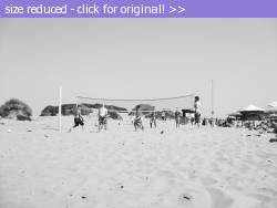 Posted image has been reduced in size. Size of original image (797960 KB) is 1600 x 1200 pixels. Click image to view full size and better quality!