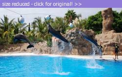 Posted image has been reduced in size. Size of original image (95878 KB) is 800 x 504 pixels. Click image to view full size and better quality!