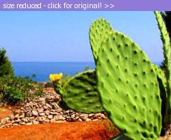 Posted image has been reduced in size. Size of original image (100366 KB) is 561 x 456 pixels. Click image to view full size and better quality!