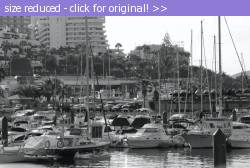 Posted image has been reduced in size. Size of original image (91885 KB) is 800 x 536 pixels. Click image to view full size and better quality!