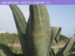 Posted image has been reduced in size. Size of original image (667993 KB) is 1600 x 1200 pixels. Click image to view full size and better quality!