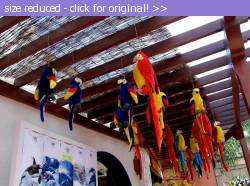 Posted image has been reduced in size. Size of original image (129059 KB) is 800 x 593 pixels. Click image to view full size and better quality!