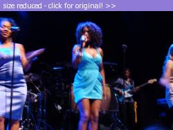 Posted image has been reduced in size. Size of original image (229236 KB) is 640 x 480 pixels. Click image to view full size and better quality!