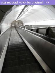 Posted image has been reduced in size. Size of original image (143960 KB) is 528 x 704 pixels. Click image to view full size and better quality!