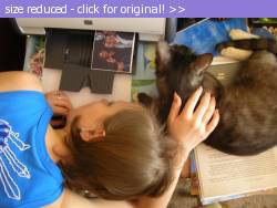 Posted image has been reduced in size. Size of original image (90800 KB) is 800 x 600 pixels. Click image to view full size and better quality!