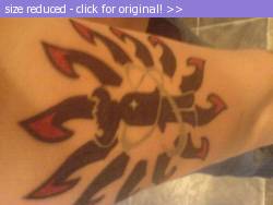 Posted image has been reduced in size. Size of original image (52579 KB) is 800 x 600 pixels. Click image to view full size and better quality!