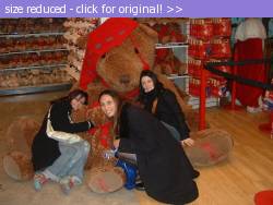 Posted image has been reduced in size. Size of original image (161196 KB) is 800 x 600 pixels. Click image to view full size and better quality!