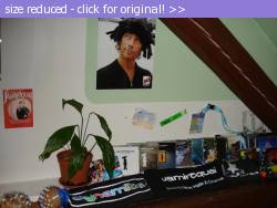 Posted image has been reduced in size. Size of original image (37264 KB) is 600 x 450 pixels. Click image to view full size and better quality!