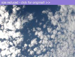 Posted image has been reduced in size. Size of original image (126428 KB) is 640 x 480 pixels. Click image to view full size and better quality!