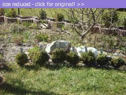 Posted image has been reduced in size. Size of original image (87271 KB) is 800 x 600 pixels. Click image to view full size and better quality!