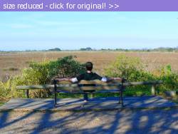 Posted image has been reduced in size. Size of original image (253483 KB) is 800 x 600 pixels. Click image to view full size and better quality!