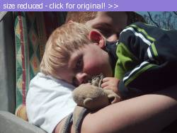 Posted image has been reduced in size. Size of original image (108580 KB) is 800 x 600 pixels. Click image to view full size and better quality!