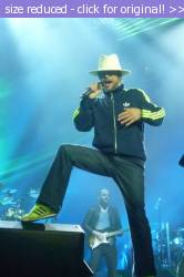 Posted image has been reduced in size. Size of original image (97209 KB) is 531 x 800 pixels. Click image to view full size and better quality!