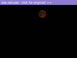 Posted image has been reduced in size. Size of original image (60640 KB) is 640 x 480 pixels. Click image to view full size and better quality!