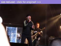 Posted image has been reduced in size. Size of original image (70299 KB) is 1010 x 758 pixels. Click image to view full size and better quality!