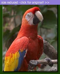 Posted image has been reduced in size. Size of original image (57694 KB) is 650 x 800 pixels. Click image to view full size and better quality!