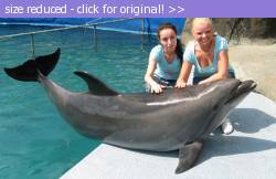 Posted image has been reduced in size. Size of original image (212663 KB) is 800 x 516 pixels. Click image to view full size and better quality!