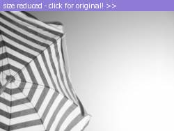 Posted image has been reduced in size. Size of original image (567392 KB) is 1600 x 1200 pixels. Click image to view full size and better quality!