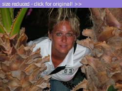 Posted image has been reduced in size. Size of original image (129918 KB) is 800 x 600 pixels. Click image to view full size and better quality!