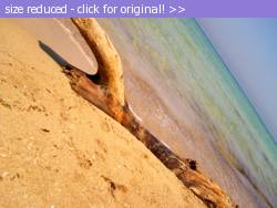 Posted image has been reduced in size. Size of original image (263082 KB) is 1024 x 768 pixels. Click image to view full size and better quality!