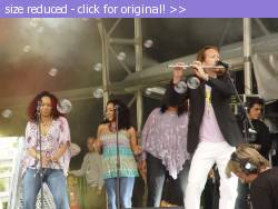 Posted image has been reduced in size. Size of original image (253655 KB) is 896 x 672 pixels. Click image to view full size and better quality!