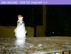 Posted image has been reduced in size. Size of original image (48517 KB) is 800 x 600 pixels. Click image to view full size and better quality!