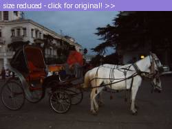 Posted image has been reduced in size. Size of original image (72756 KB) is 800 x 600 pixels. Click image to view full size and better quality!