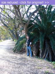 Posted image has been reduced in size. Size of original image (379423 KB) is 600 x 800 pixels. Click image to view full size and better quality!