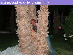 Posted image has been reduced in size. Size of original image (122306 KB) is 800 x 600 pixels. Click image to view full size and better quality!