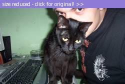 Posted image has been reduced in size. Size of original image (98604 KB) is 816 x 544 pixels. Click image to view full size and better quality!