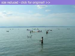 Posted image has been reduced in size. Size of original image (239411 KB) is 640 x 480 pixels. Click image to view full size and better quality!