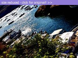 Posted image has been reduced in size. Size of original image (189184 KB) is 640 x 480 pixels. Click image to view full size and better quality!