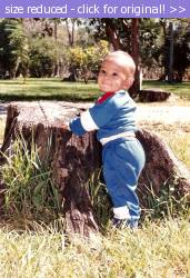 Posted image has been reduced in size. Size of original image (255047 KB) is 699 x 1024 pixels. Click image to view full size and better quality!