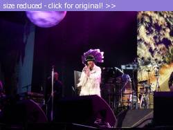 Posted image has been reduced in size. Size of original image (92702 KB) is 1024 x 768 pixels. Click image to view full size and better quality!