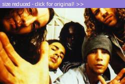 Posted image has been reduced in size. Size of original image (49814 KB) is 565 x 379 pixels. Click image to view full size and better quality!