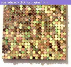 Posted image has been reduced in size. Size of original image (40025 KB) is 349 x 326 pixels. Click image to view full size and better quality!