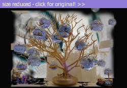 Posted image has been reduced in size. Size of original image (192944 KB) is 800 x 556 pixels. Click image to view full size and better quality!