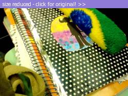 Posted image has been reduced in size. Size of original image (131881 KB) is 800 x 600 pixels. Click image to view full size and better quality!