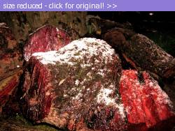 Posted image has been reduced in size. Size of original image (534478 KB) is 1024 x 766 pixels. Click image to view full size and better quality!