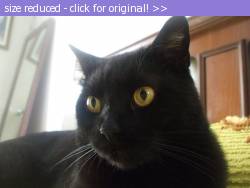 Posted image has been reduced in size. Size of original image (54834 KB) is 800 x 600 pixels. Click image to view full size and better quality!