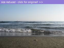 Posted image has been reduced in size. Size of original image (1189018 KB) is 2048 x 1536 pixels. Click image to view full size and better quality!