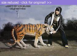 Posted image has been reduced in size. Size of original image (182334 KB) is 868 x 638 pixels. Click image to view full size and better quality!