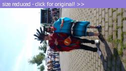 Posted image has been reduced in size. Size of original image (183751 KB) is 800 x 450 pixels. Click image to view full size and better quality!