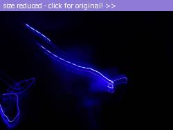 Posted image has been reduced in size. Size of original image (110962 KB) is 800 x 600 pixels. Click image to view full size and better quality!