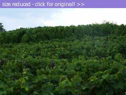 Posted image has been reduced in size. Size of original image (133673 KB) is 1024 x 768 pixels. Click image to view full size and better quality!