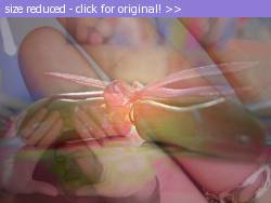 Posted image has been reduced in size. Size of original image (97857 KB) is 800 x 600 pixels. Click image to view full size and better quality!